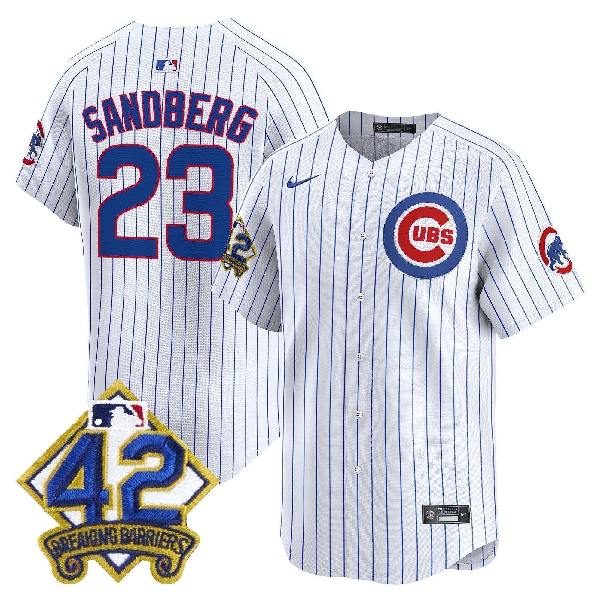 CHC 2025 Jackie Robinson Patch Vapor Premier Limited Jersey - All Stitched